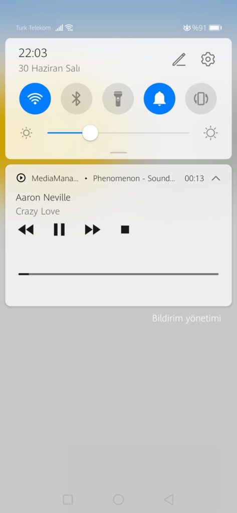Xamarin.Forms Cross MediaManager Plugin Usage 2
