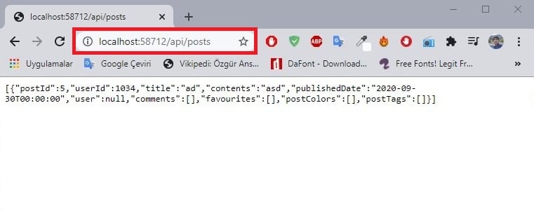 ASP.NET Web Core API controller run project