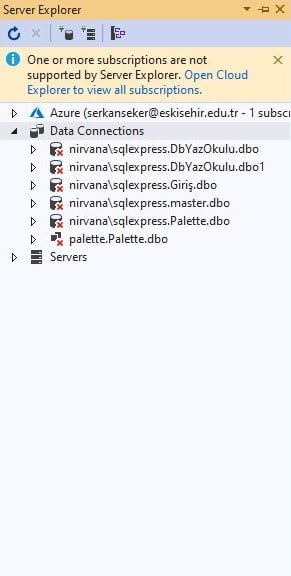 Server Explorer Data Connections