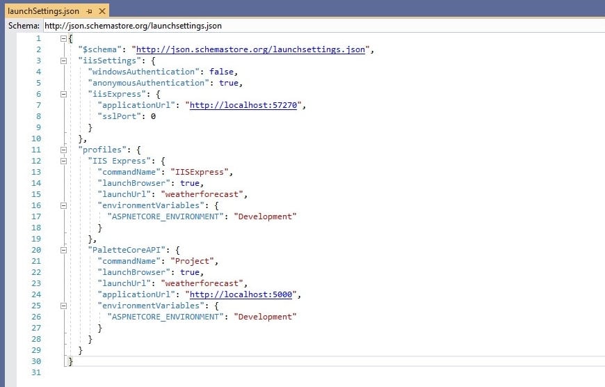 launchSettings.json structure